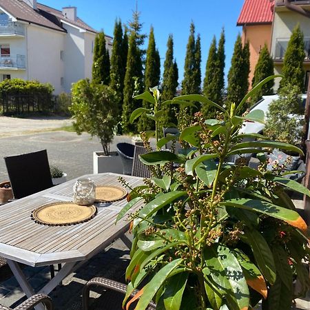 Willa Klif &Spa Jastrzębia Góra Exteriér fotografie