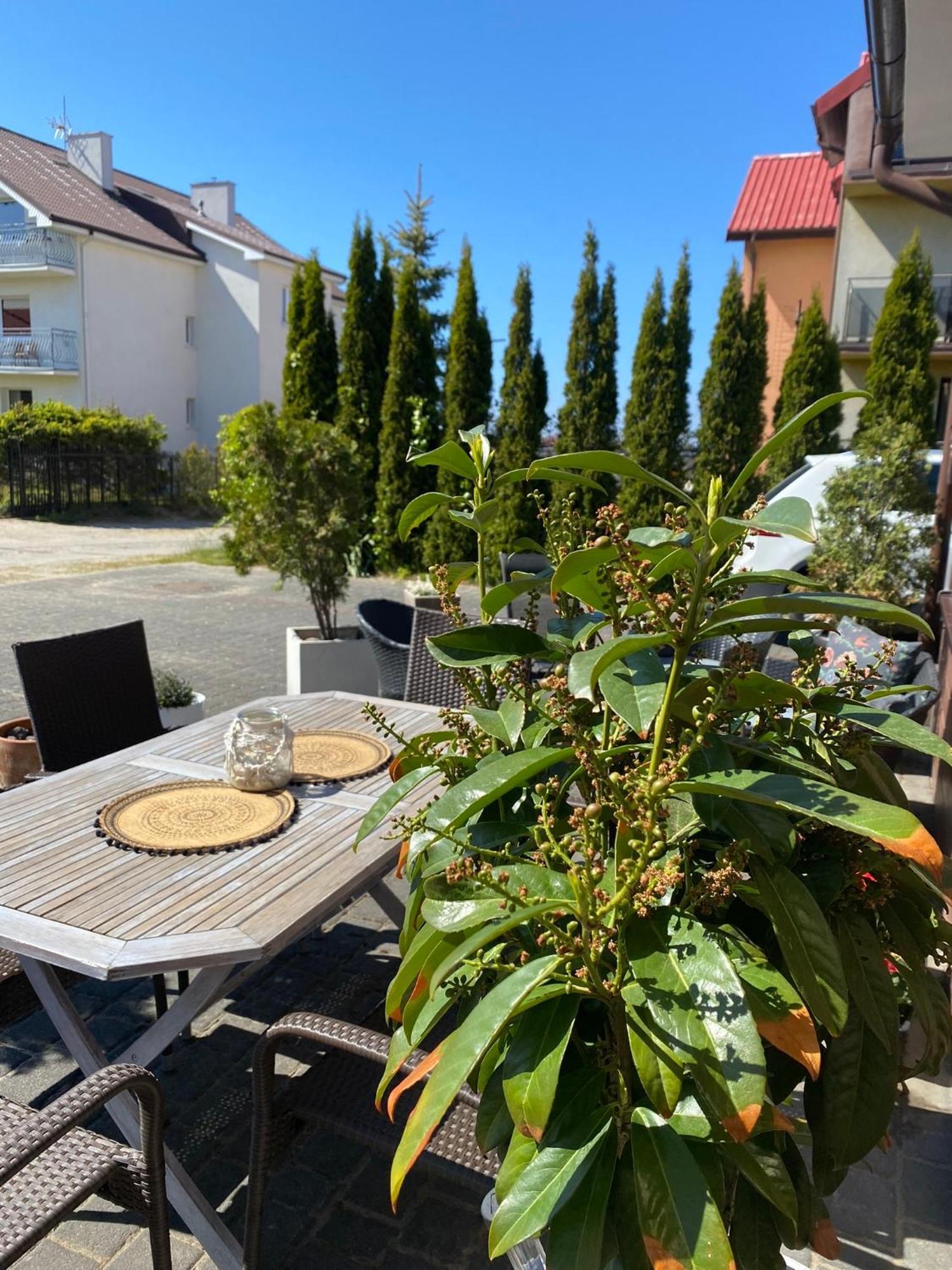 Willa Klif &Spa Jastrzębia Góra Exteriér fotografie